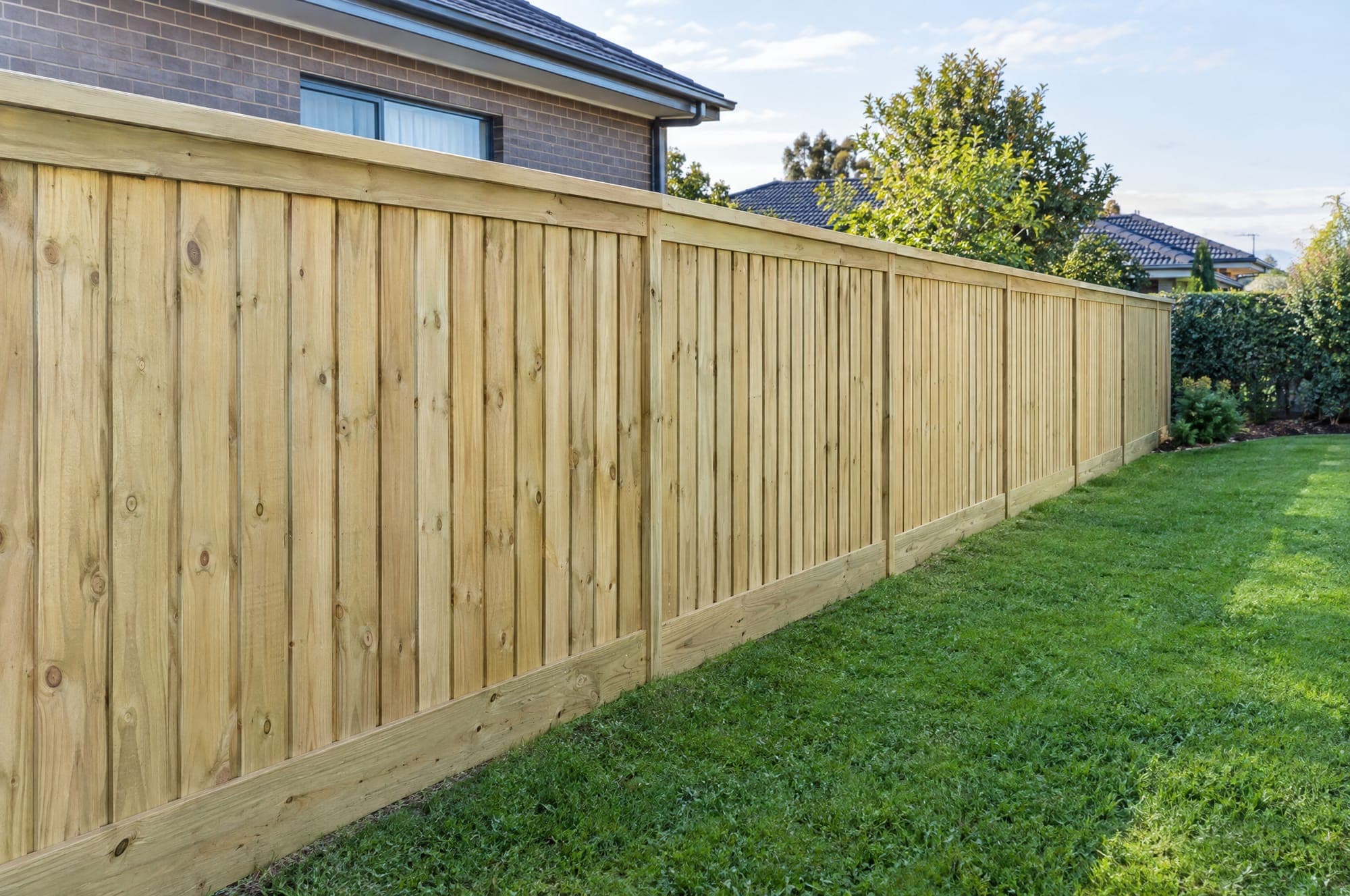 New timber paling fence