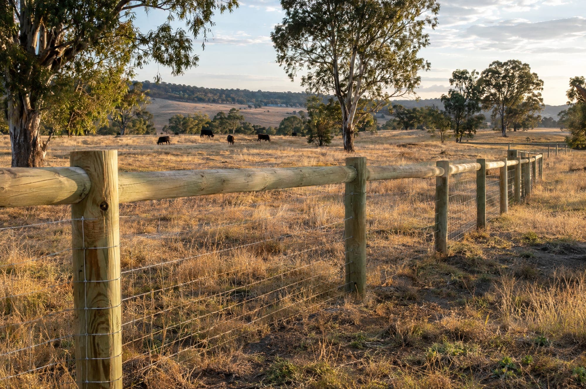 Timber post and rail fence on acreage
